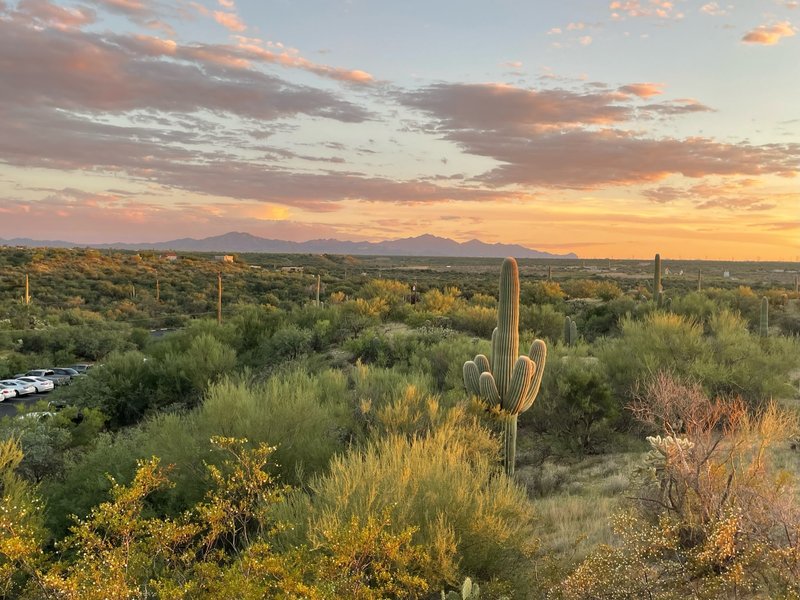 Warm desert landscape — the grounded, unhurried pace behind the studio