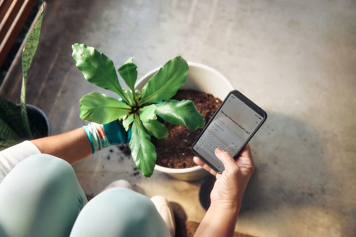 Hands repotting a plant next to a phone