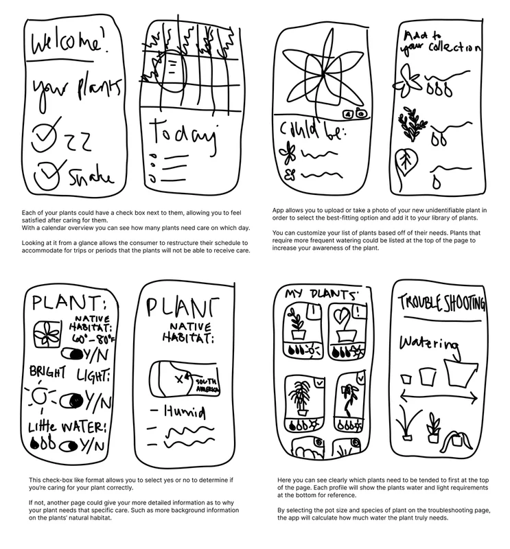 Hand-drawn wireframes showing the welcome, calendar, plant identification, and troubleshooting screens